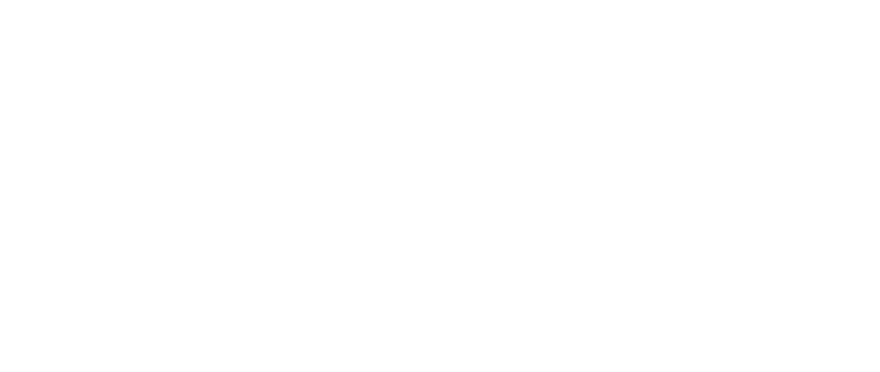 海龟伴侣 mac版官方